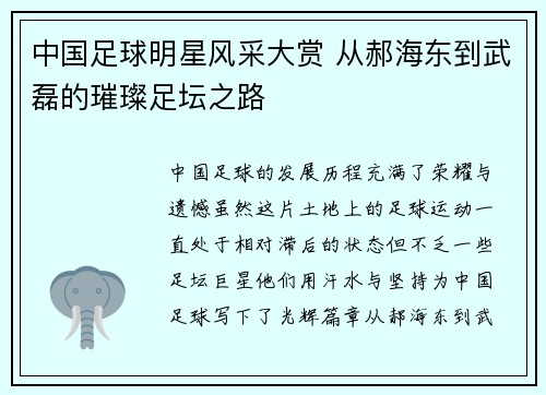 中国足球明星风采大赏 从郝海东到武磊的璀璨足坛之路